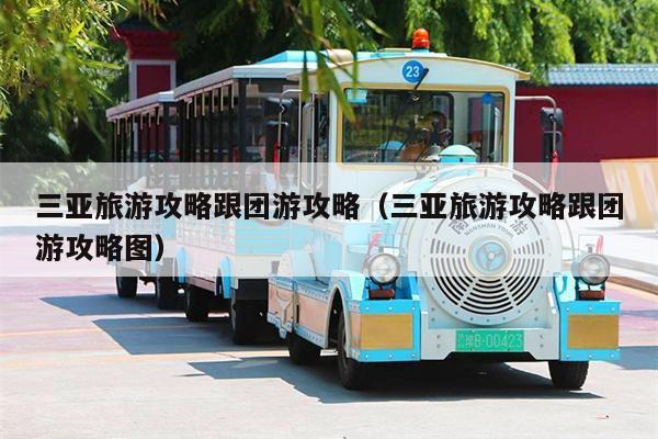 三亚旅游攻略跟团游攻略（三亚旅游攻略跟团游攻略图）