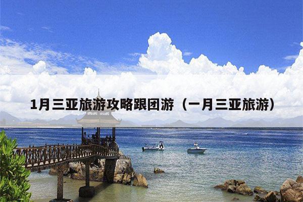 1月三亚旅游攻略跟团游（一月三亚旅游）