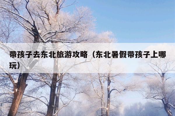 带孩子去东北旅游攻略（东北暑假带孩子上哪玩）
