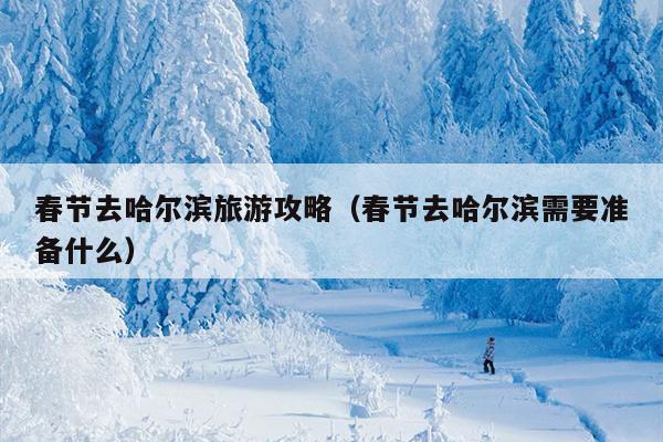 春节去哈尔滨旅游攻略（春节去哈尔滨需要准备什么）