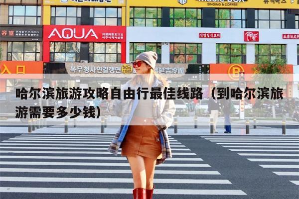 哈尔滨旅游攻略自由行最佳线路（到哈尔滨旅游需要多少钱）