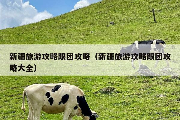 新疆旅游攻略跟团攻略（新疆旅游攻略跟团攻略大全）