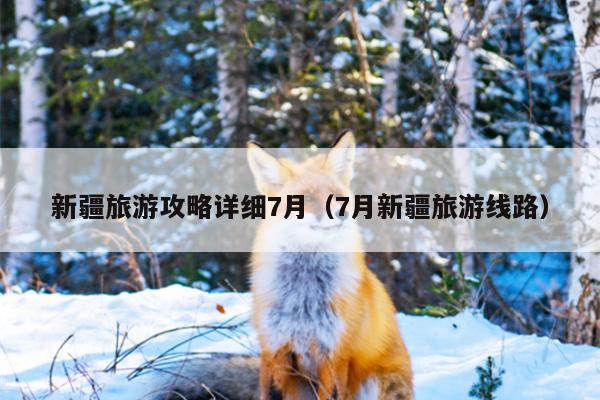 新疆旅游攻略详细7月（7月新疆旅游线路）