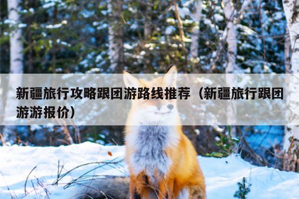 新疆旅行攻略跟团游路线推荐（新疆旅行跟团游游报价）