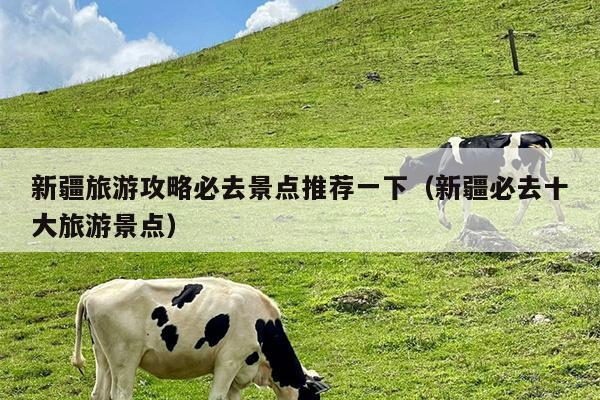新疆旅游攻略必去景点推荐一下（新疆必去十大旅游景点）