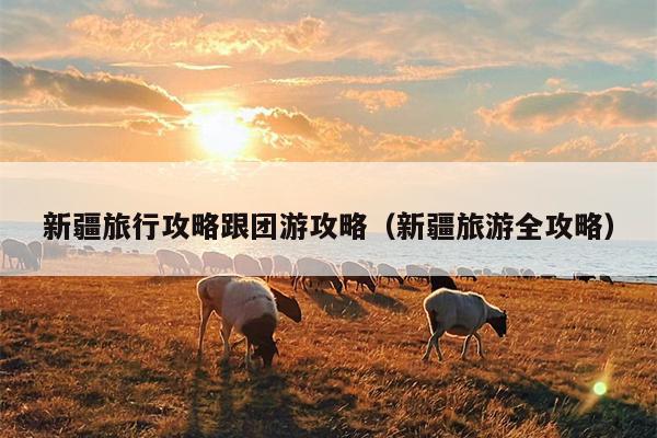 新疆旅行攻略跟团游攻略（新疆旅游全攻略）