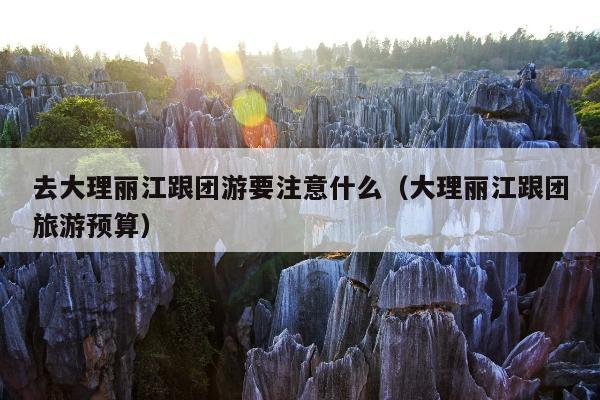 去大理丽江跟团游要注意什么（大理丽江跟团旅游预算）