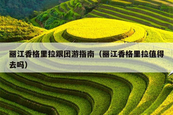 丽江香格里拉跟团游指南（丽江香格里拉值得去吗）