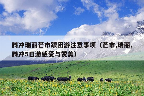 腾冲瑞丽芒市跟团游注意事项（芒市,瑞丽,腾冲5日游感受与赞美）
