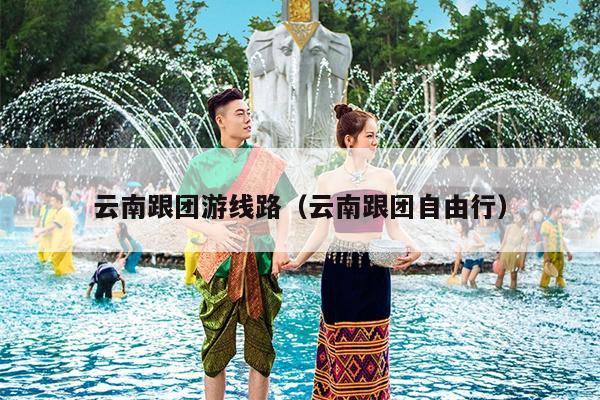 云南跟团游线路（云南跟团自由行）