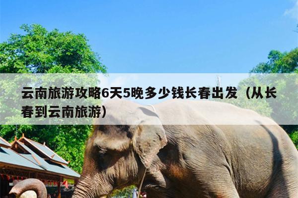 云南旅游攻略6天5晚多少钱长春出发（从长春到云南旅游）