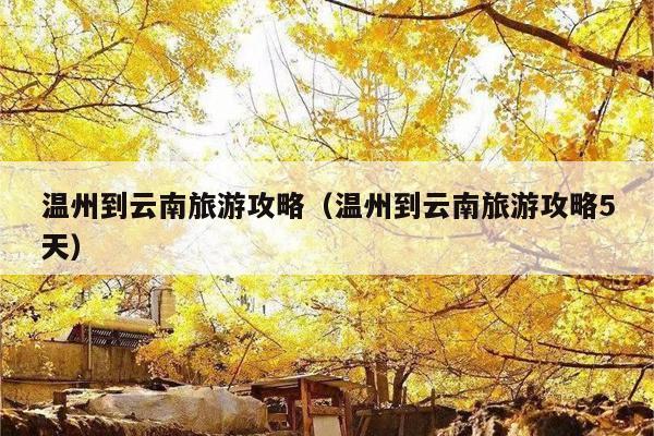 温州到云南旅游攻略（温州到云南旅游攻略5天）