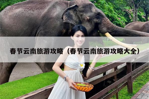 春节云南旅游攻略（春节云南旅游攻略大全）