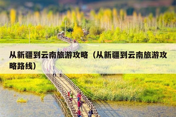 从新疆到云南旅游攻略（从新疆到云南旅游攻略路线）