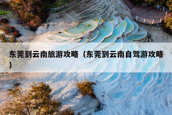 东莞到云南旅游攻略（东莞到云南自驾游攻略）
