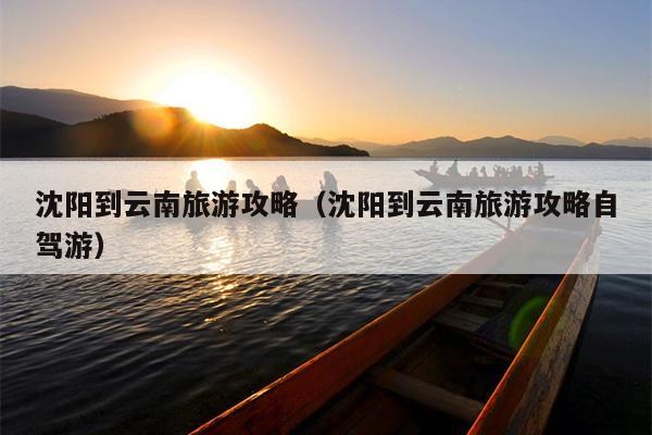 沈阳到云南旅游攻略（沈阳到云南旅游攻略自驾游）