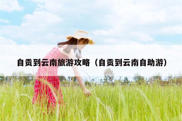 自贡到云南旅游攻略（自贡到云南自助游）