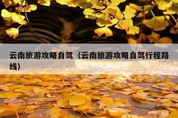 云南旅游攻略自驾（云南旅游攻略自驾行程路线）