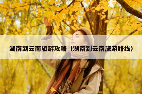 湖南到云南旅游攻略（湖南到云南旅游路线）