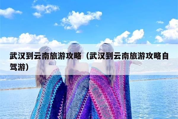 武汉到云南旅游攻略（武汉到云南旅游攻略自驾游）