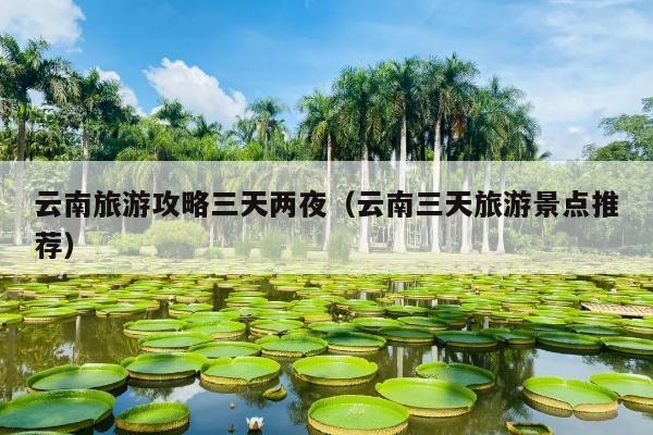 云南旅游攻略三天两夜（云南三天旅游景点推荐）