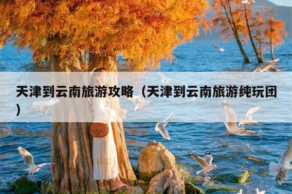 天津到云南旅游攻略（天津到云南旅游纯玩团）