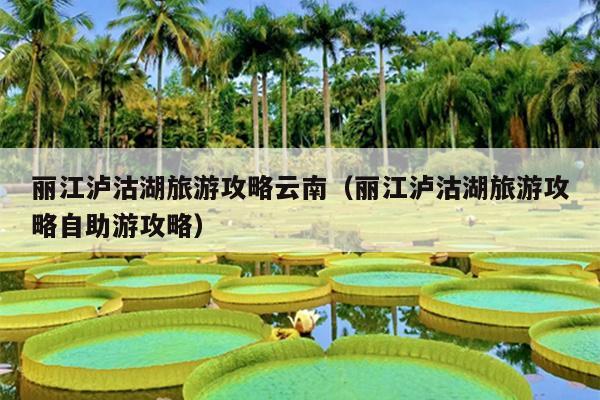 丽江泸沽湖旅游攻略云南（丽江泸沽湖旅游攻略自助游攻略）