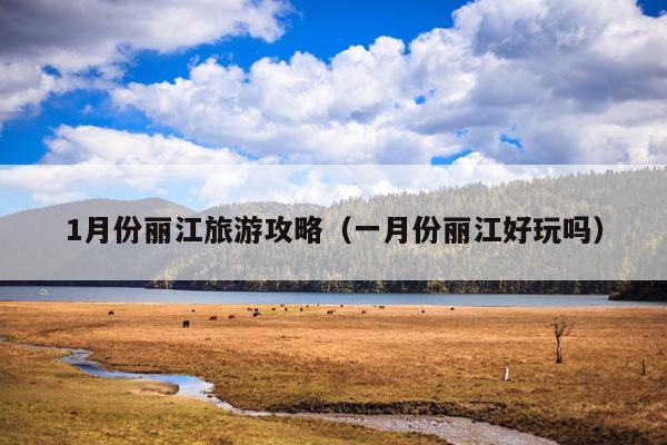 1月份丽江旅游攻略（一月份丽江好玩吗）