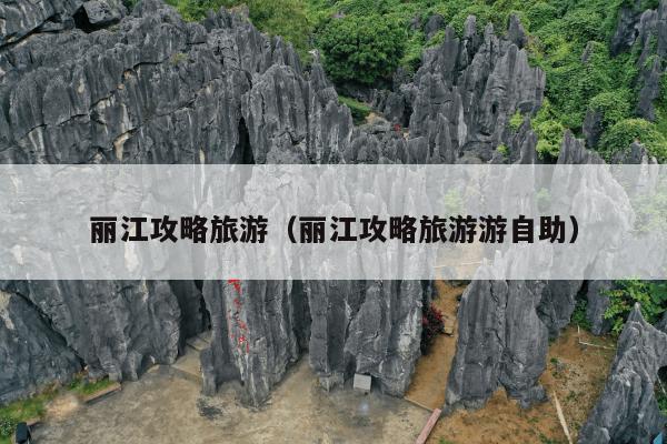 丽江攻略旅游（丽江攻略旅游游自助）