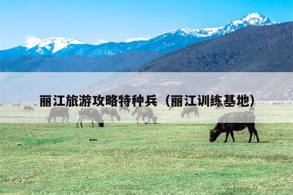 丽江旅游攻略特种兵（丽江训练基地）