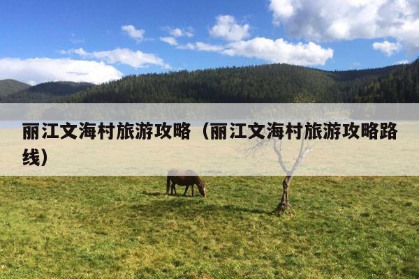 丽江文海村旅游攻略（丽江文海村旅游攻略路线）