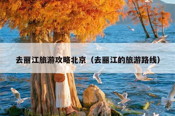去丽江旅游攻略北京（去丽江的旅游路线）