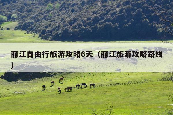 丽江自由行旅游攻略6天（丽江旅游攻略路线）