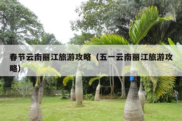 春节云南丽江旅游攻略（五一云南丽江旅游攻略）