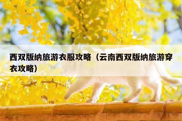 西双版纳旅游衣服攻略（云南西双版纳旅游穿衣攻略）