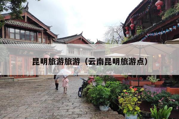 昆明旅游旅游（云南昆明旅游点）