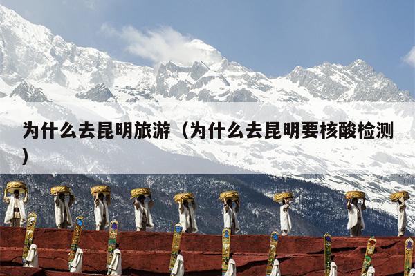 为什么去昆明旅游（为什么去昆明要核酸检测）