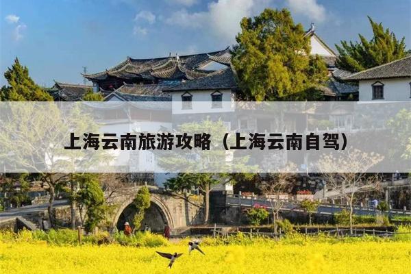 上海云南旅游攻略（上海云南自驾）