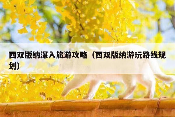 西双版纳深入旅游攻略（西双版纳游玩路线规划）