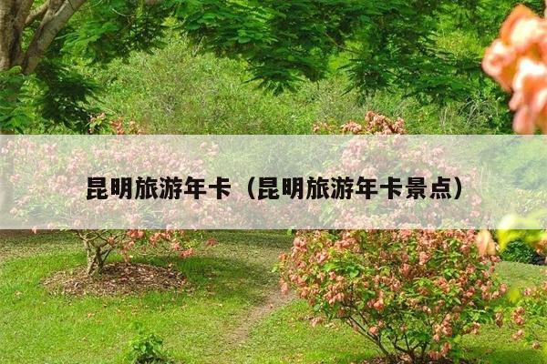 昆明旅游年卡（昆明旅游年卡景点）