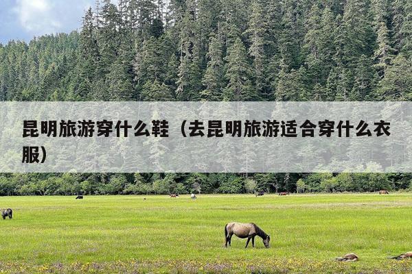 昆明旅游穿什么鞋（去昆明旅游适合穿什么衣服）
