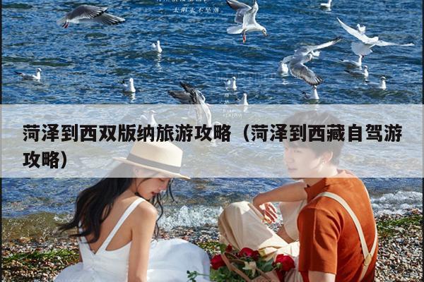 菏泽到西双版纳旅游攻略（菏泽到西藏自驾游攻略）