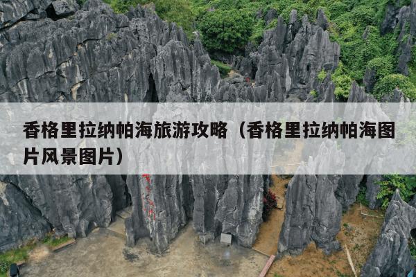 香格里拉纳帕海旅游攻略（香格里拉纳帕海图片风景图片）