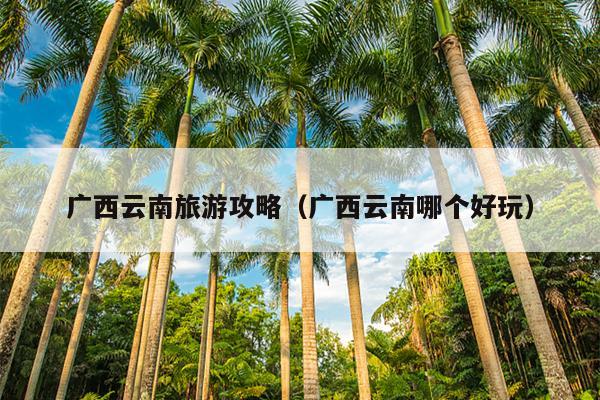 广西云南旅游攻略（广西云南哪个好玩）