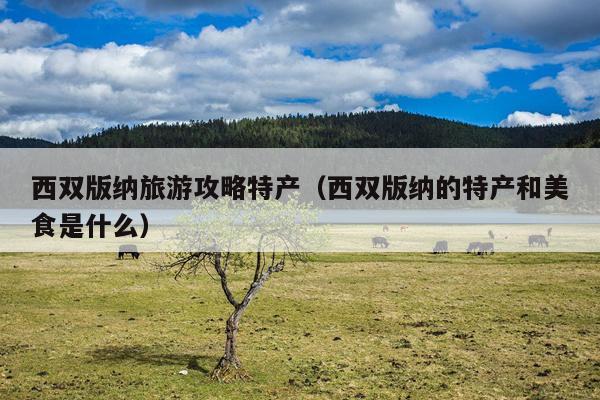 西双版纳旅游攻略特产（西双版纳的特产和美食是什么）