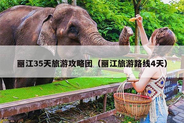 丽江35天旅游攻略团（丽江旅游路线4天）