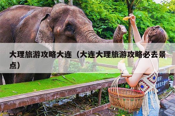 大理旅游攻略大连（大连大理旅游攻略必去景点）