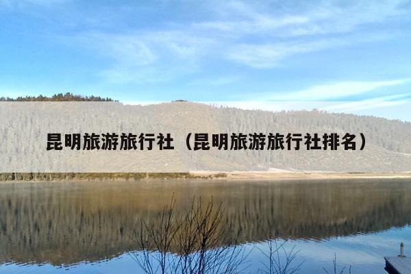 昆明旅游旅行社（昆明旅游旅行社排名）