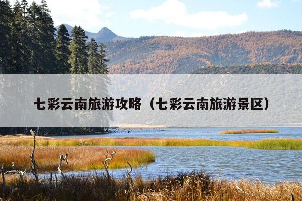 七彩云南旅游攻略（七彩云南旅游景区）