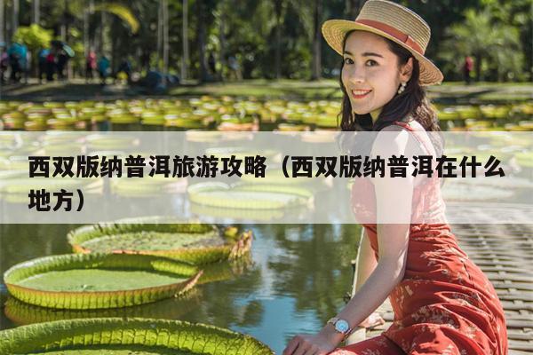 西双版纳普洱旅游攻略（西双版纳普洱在什么地方）